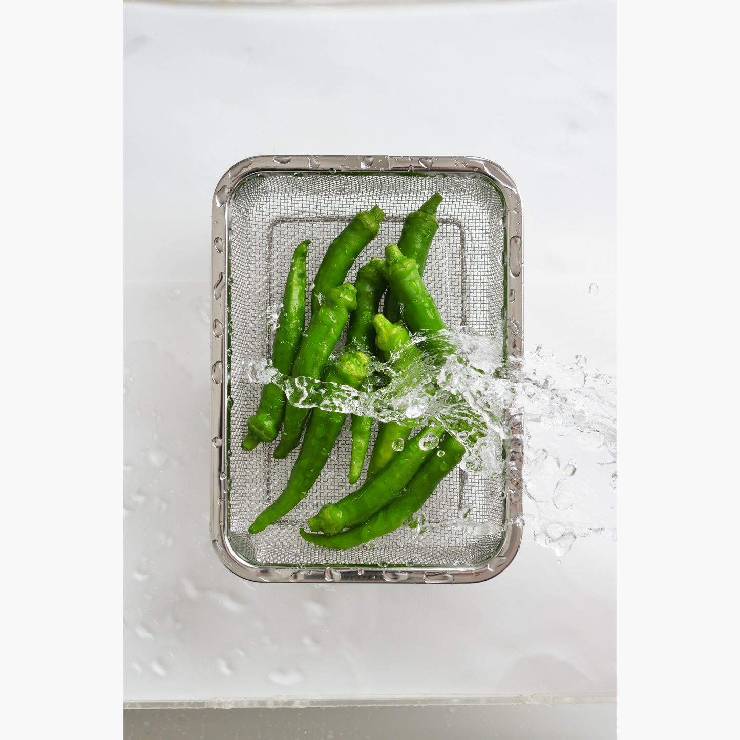 Mesh Colander Rectangle