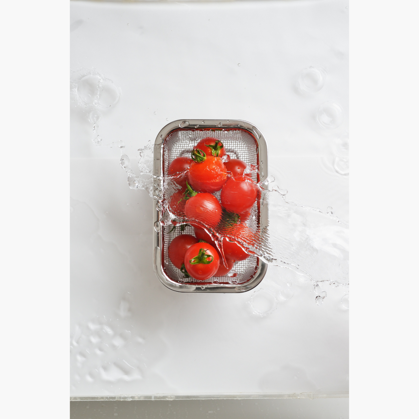 Mesh Colander Rectangle